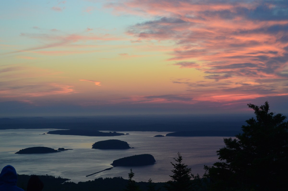 contact. – sarah hunter